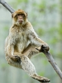 LOR_2886