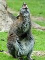 LOR_3064