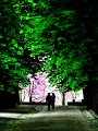 LOR_1581