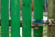 LOR_7392