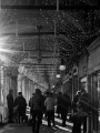 LOR_2970
